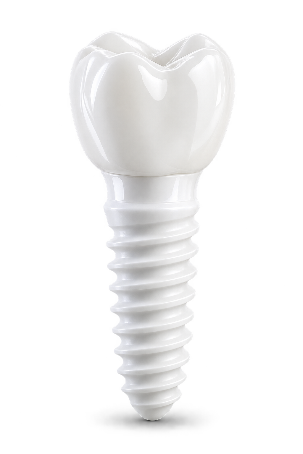 Implante cerámico de zirconia MERIDIAN Biohealth